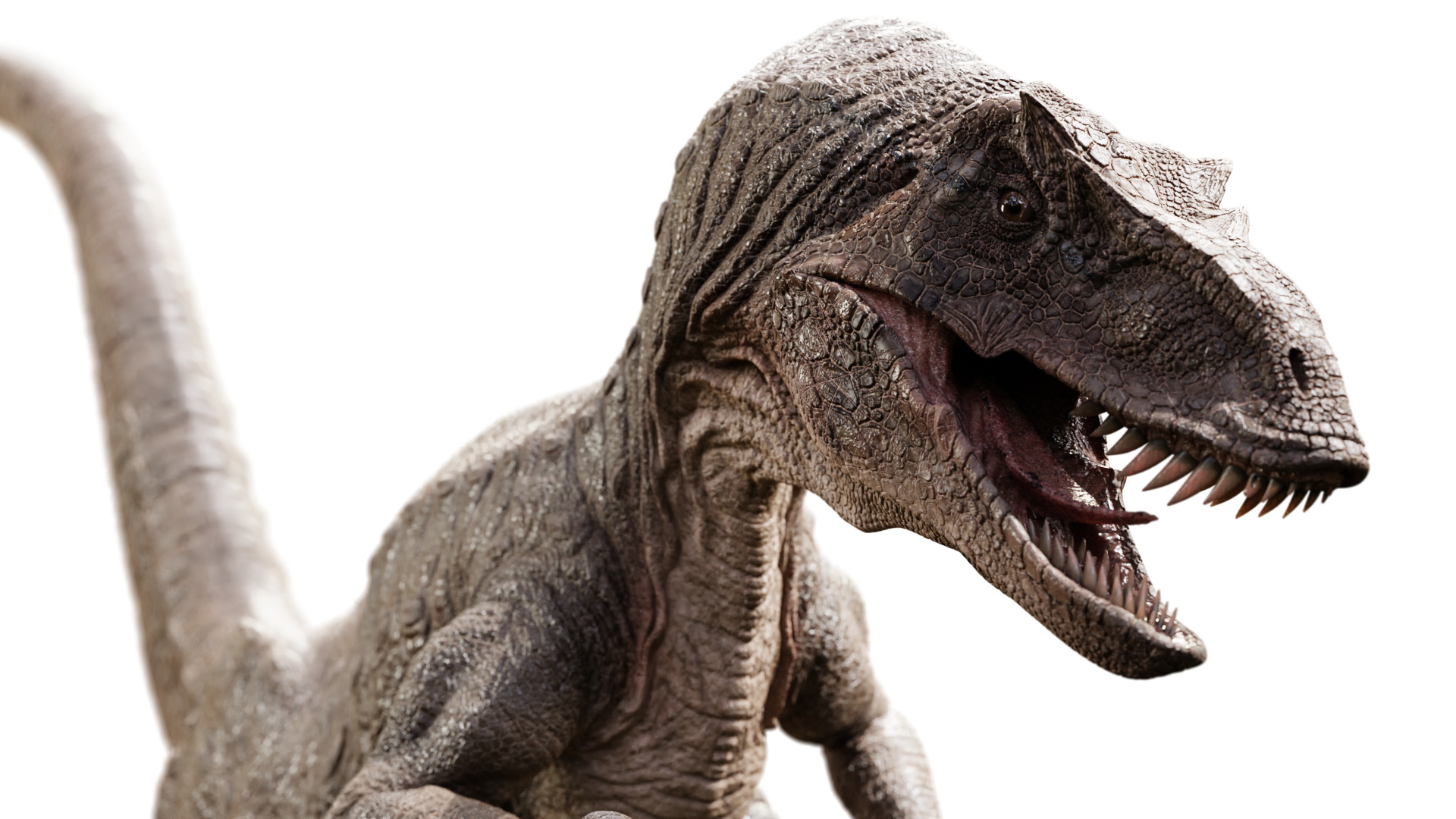 Raptor Dinosaur 3d Model Realistic And Rigged Blendernation Bazaar 
